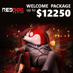 http://www.usaonlinecasinos.ws/visit/red-dog-casino